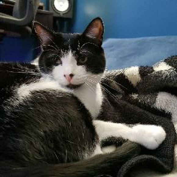 Meet - Picture 1 of 1